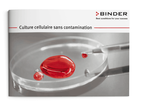 Culture cellulaire sans contamination