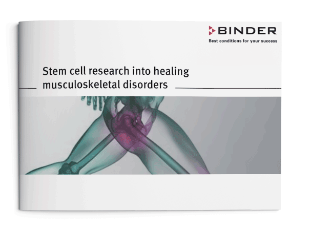 Stem cell research in the fight against disease